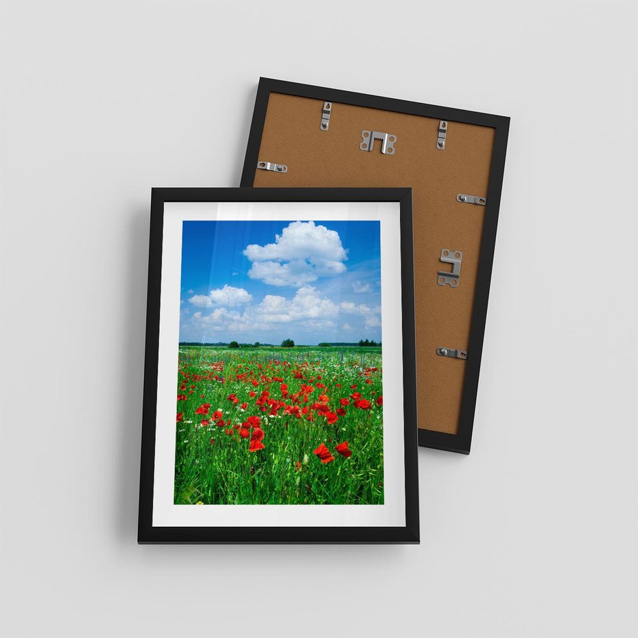 Plakat w ramie 30x40 - Kolorowa łąka pełna maku - łąka, maki - rama czarna