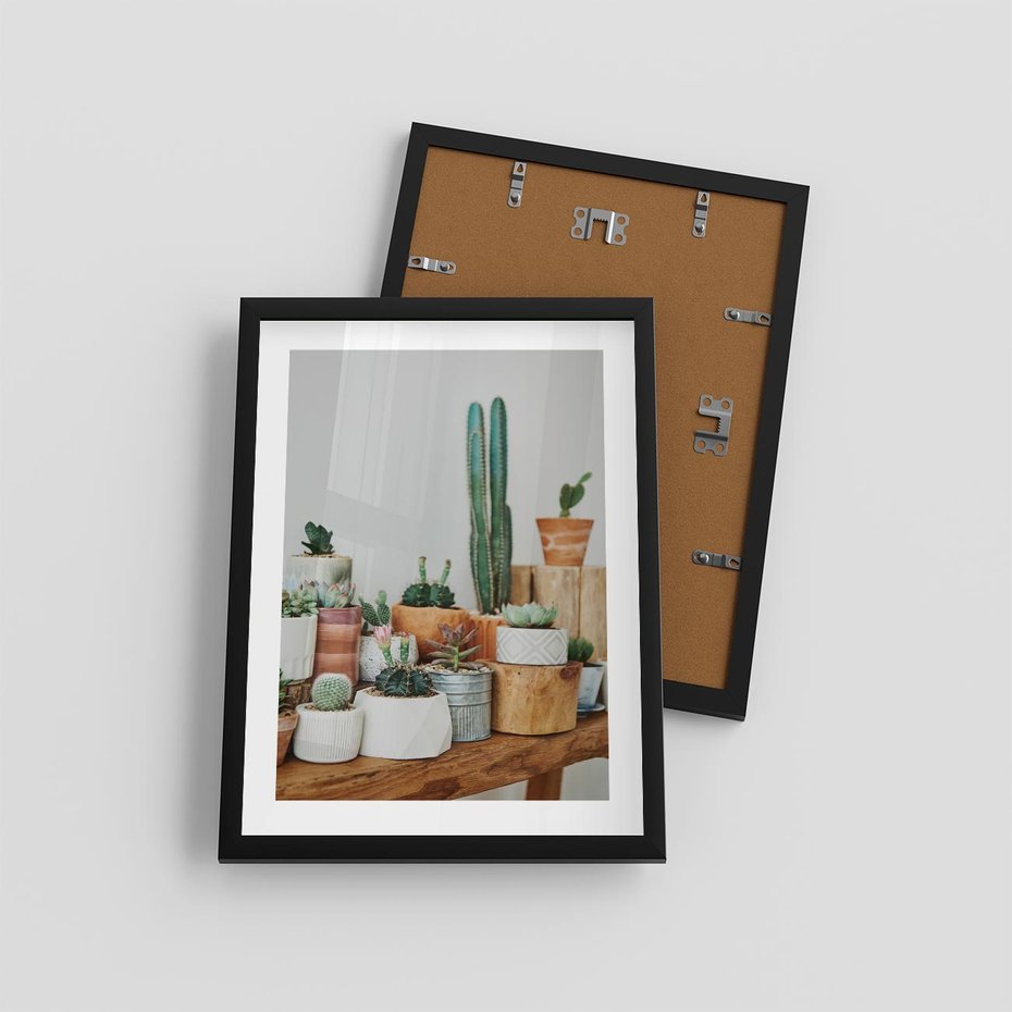 Plakat w ramie 30x40 - Kaktusowa Galeria w Doniczkach - kaktusy w doniczkach, fotografia - rama czarna