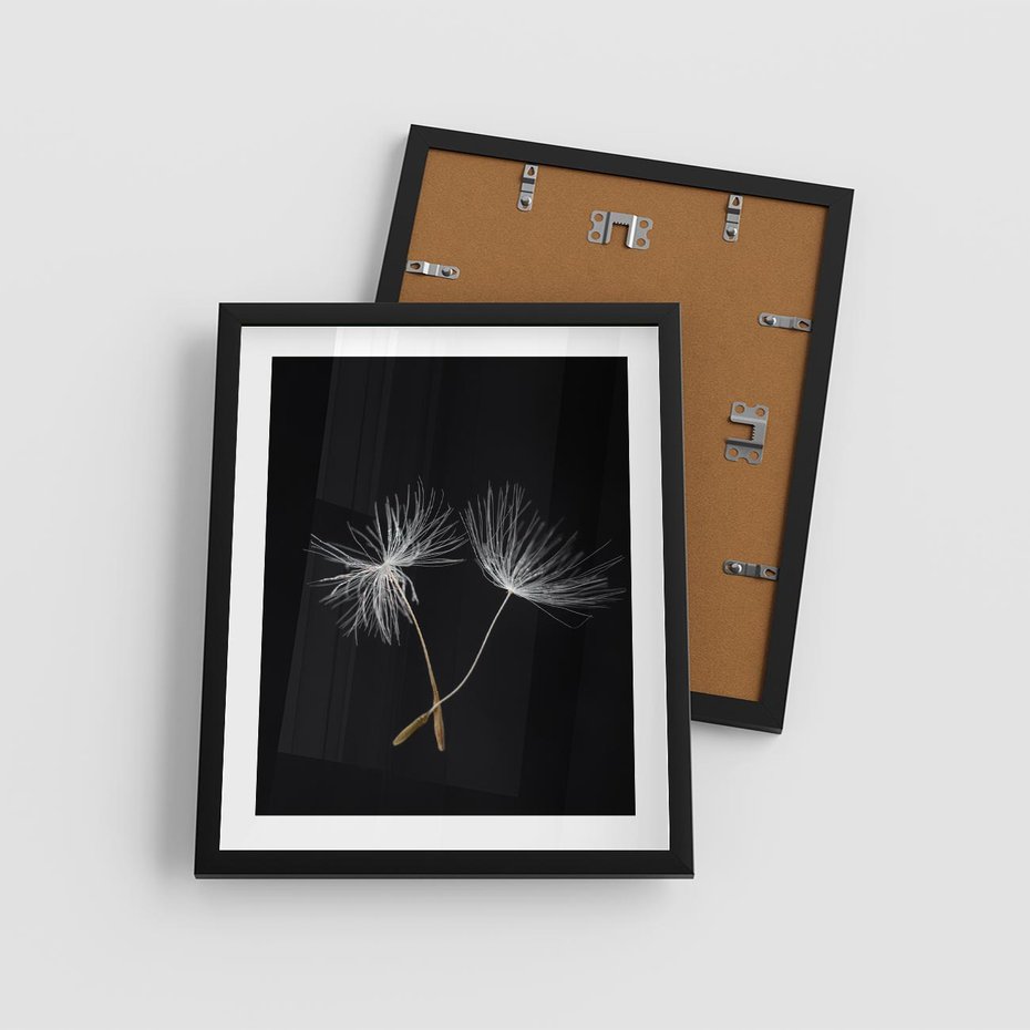 Plakat w ramie 40x50 - Delikatność Wiatru - dmuchawce, makro - rama czarna