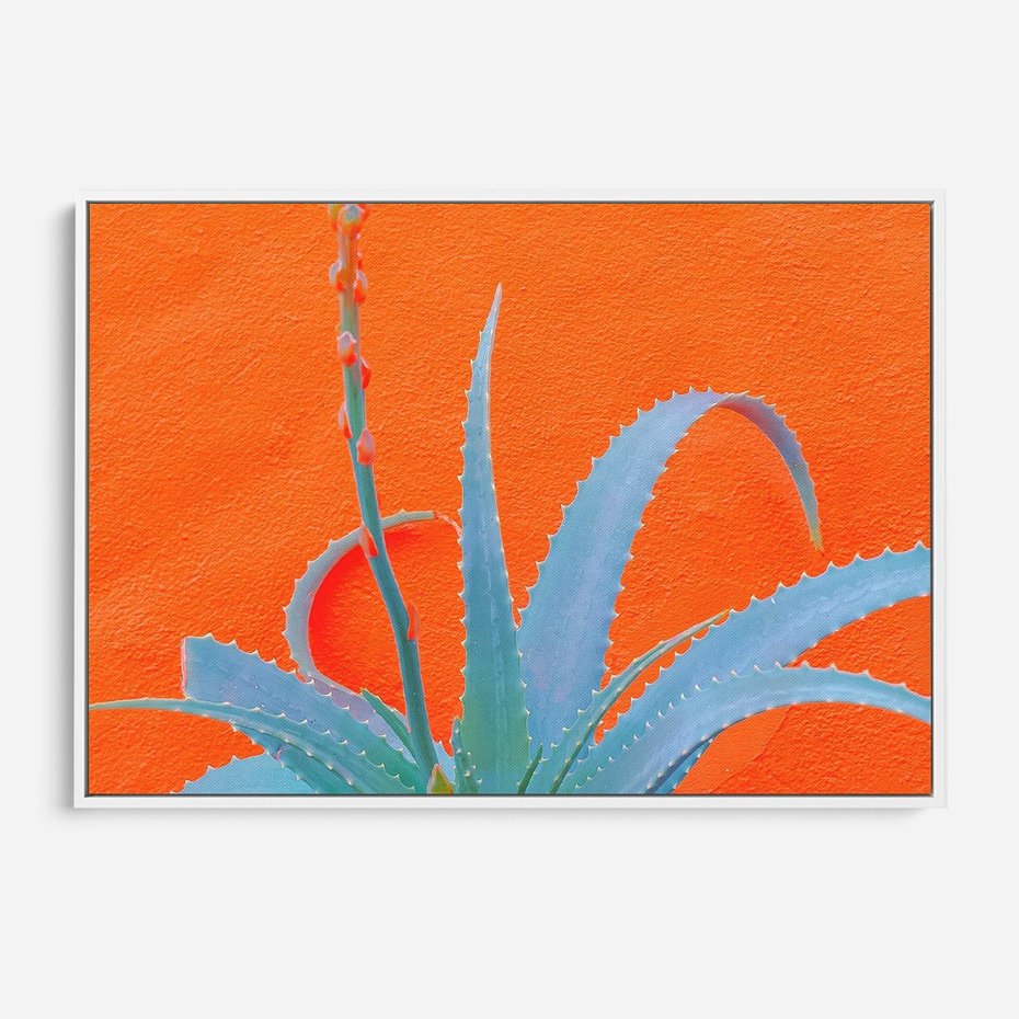 Obraz w ramie 70x50 - Naturalna Harmonia - kaktusy, liście - rama biała