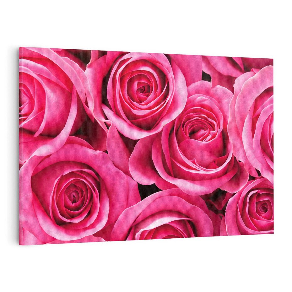 Obraz na płótnie 100x70 - Romantyczne róże w pełnym rozkwicie - róże, kwiaty