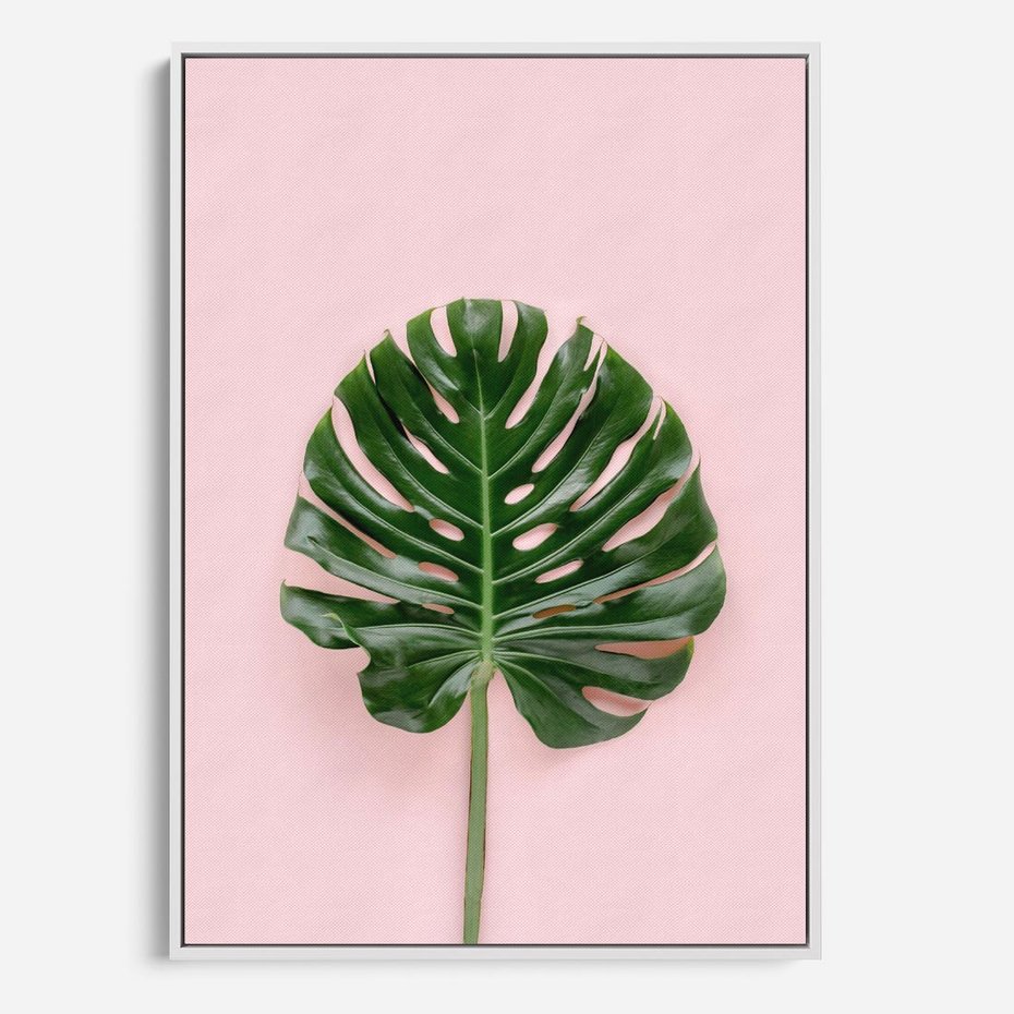 Obraz w ramie 70x100 - Egzotyczna Roślinność - liście, monstera - rama biała