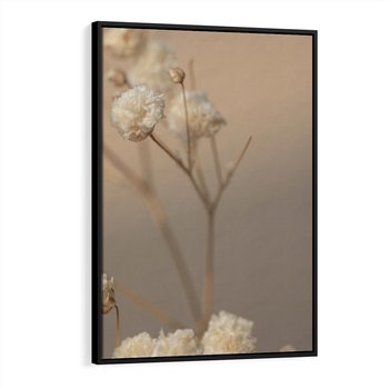 Obraz w ramie 50x70 - Subtelna gipsówka - gipsówka, suche - rama czarna