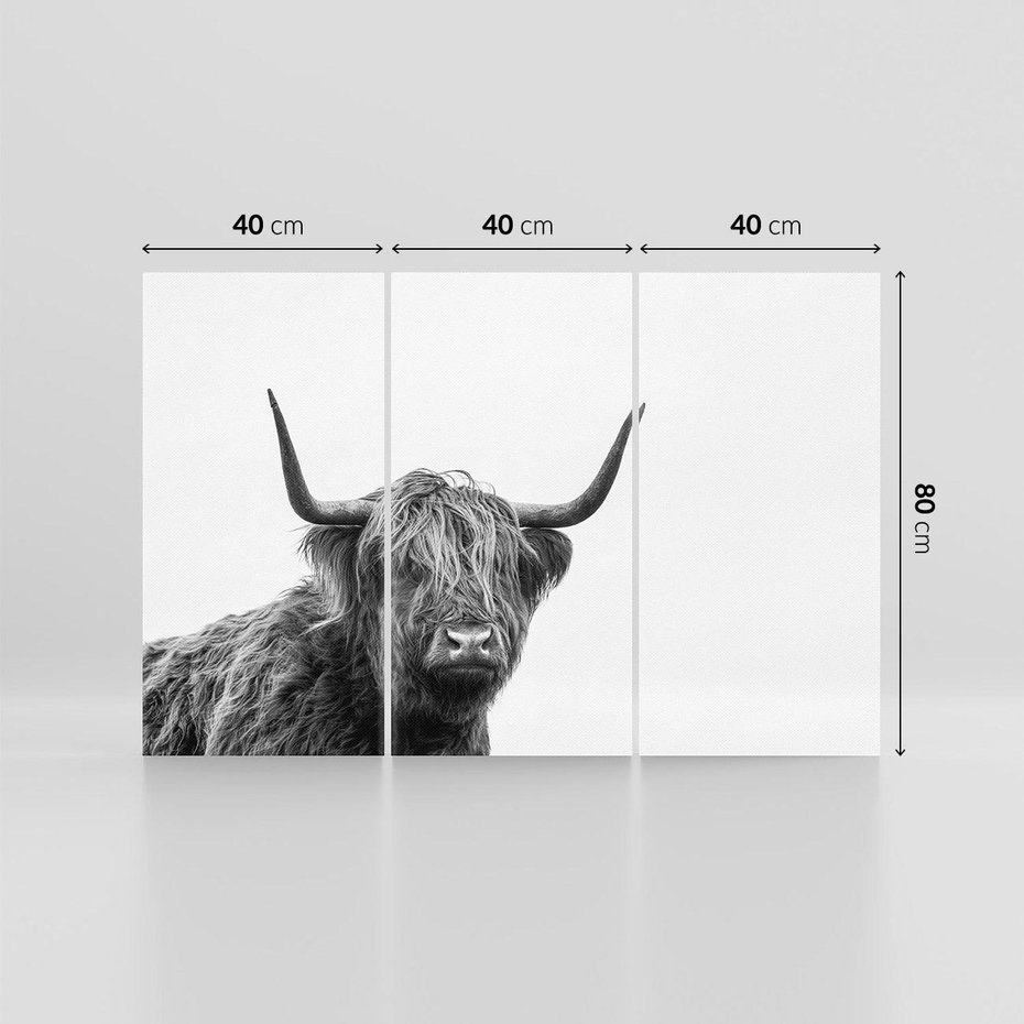 Obraz na płótnie 120x80 - Moc i Spokój - amerykańskie bydło, byk