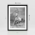 Plakat w ramie 30x40 - Elegancja w Czarno-Białym - koń, biało - rama czarna
