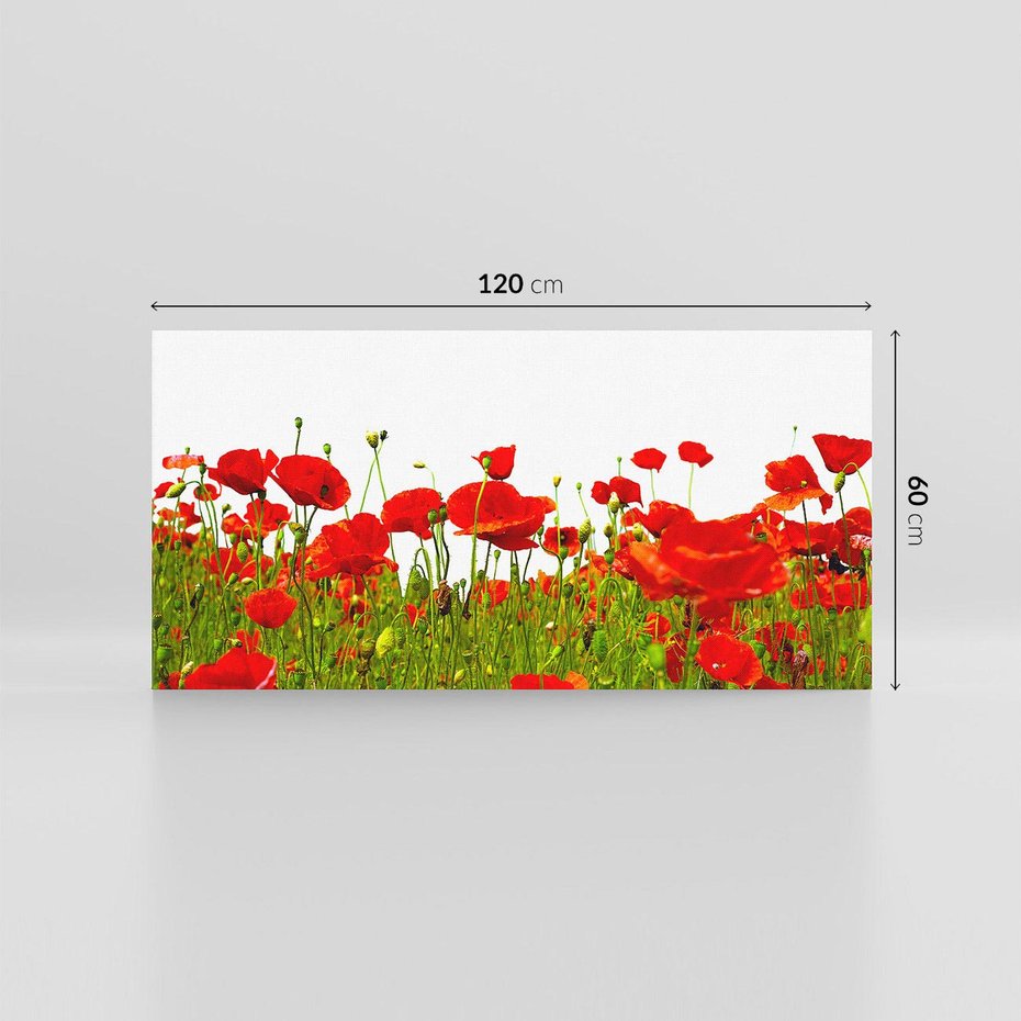 Obraz na płótnie 120x60 - Bujne maki na malowniczej łące - mak, maki