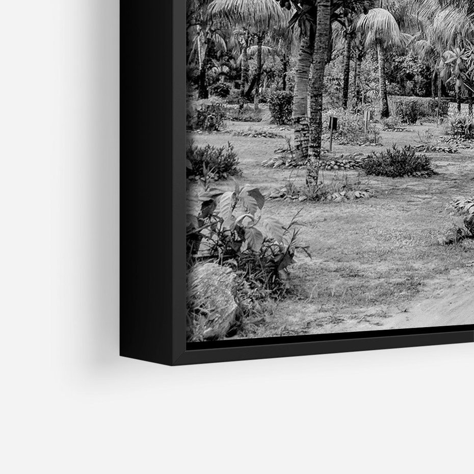 Obraz w ramie 70x100 - Mroczna Ścieżka Tropików - czarno biała fotografia, ścieżka pośród palm - rama czarna