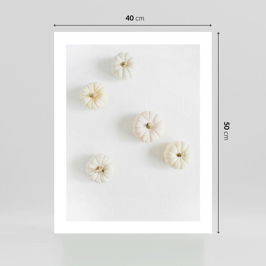 Plakat bez ramy 40x50 - Biała Jesień: Dynie na Jasnym Tle - białe dynie, białe tło