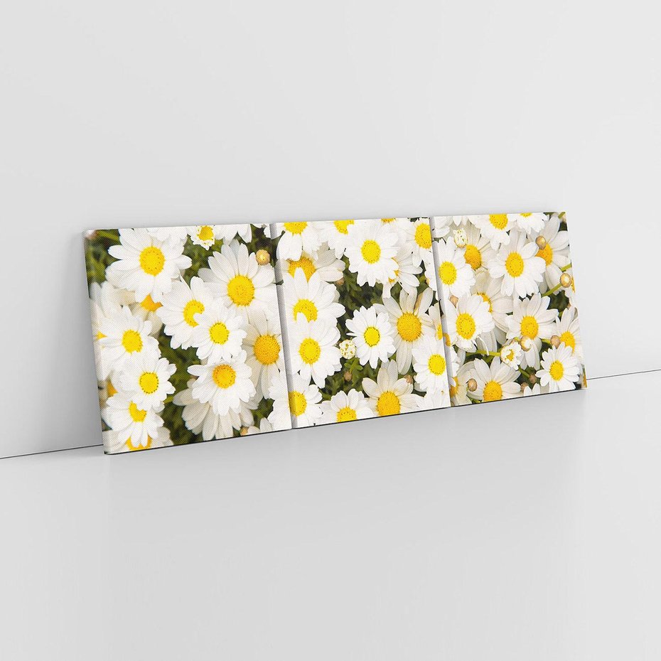 Obraz na płótnie 120x40 - Delikatność Kwiatowej Przyrody - stokrotki, kwiaty