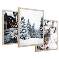 Zestaw obrazy w ramie 50x70 galeria - Renifer, zima, las, pejzaż, natura - rama drewno