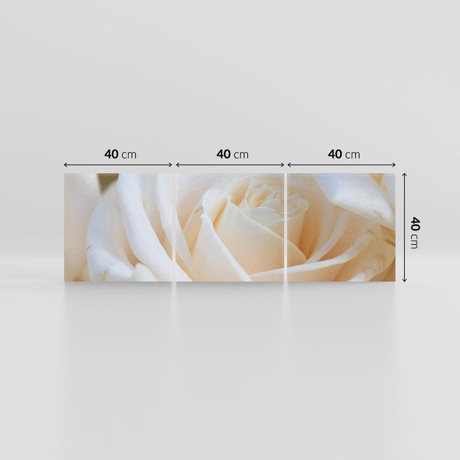 Obraz na płótnie 120x40 - Białe róże piękności - białe, róże