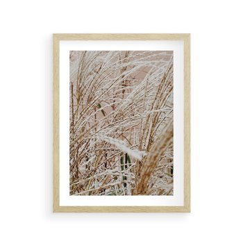 Plakat w ramie 40x50 - Beżowa Trawa - suche trawy, zbliżenie - rama drewno
