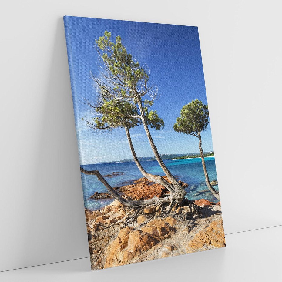 Obraz na płótnie 80x120 - Korsyka - morze i drzewa - Korsyka, morze