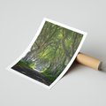 Plakat bez ramy 30x40 - Magiczny Las - drzewa, las