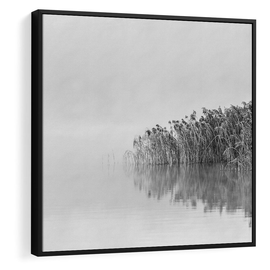 Obraz w ramie 50x50 - Mglisty Brzeg Jeziora - czarno białe zdjęcie, zamglone jezioro - rama czarna