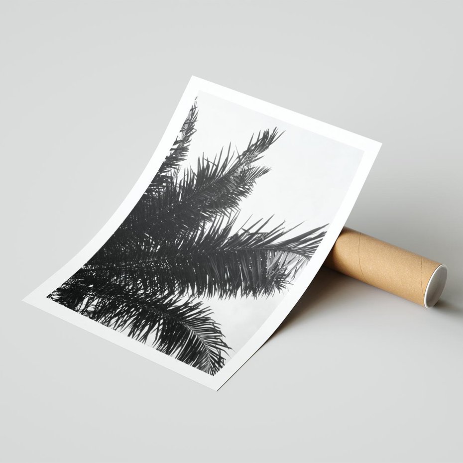 Plakat bez ramy 40x50 - Czas Zapomnienia - palmy, czarno biała fotografia