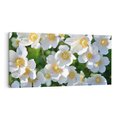 Obraz na płótnie 120x60 - Kwiatowy Raj - kwiat, kwiaty