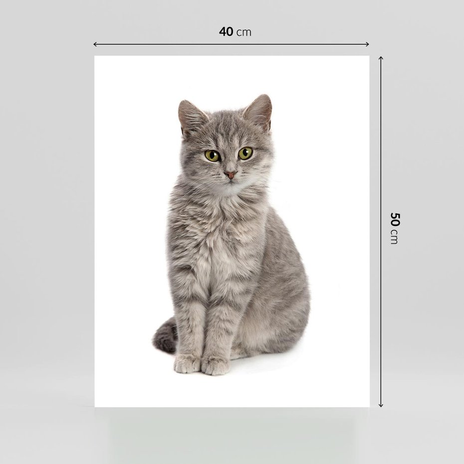 Plakat bez ramy 40x50 - Kocie uroki na płótnie - kot, kotek