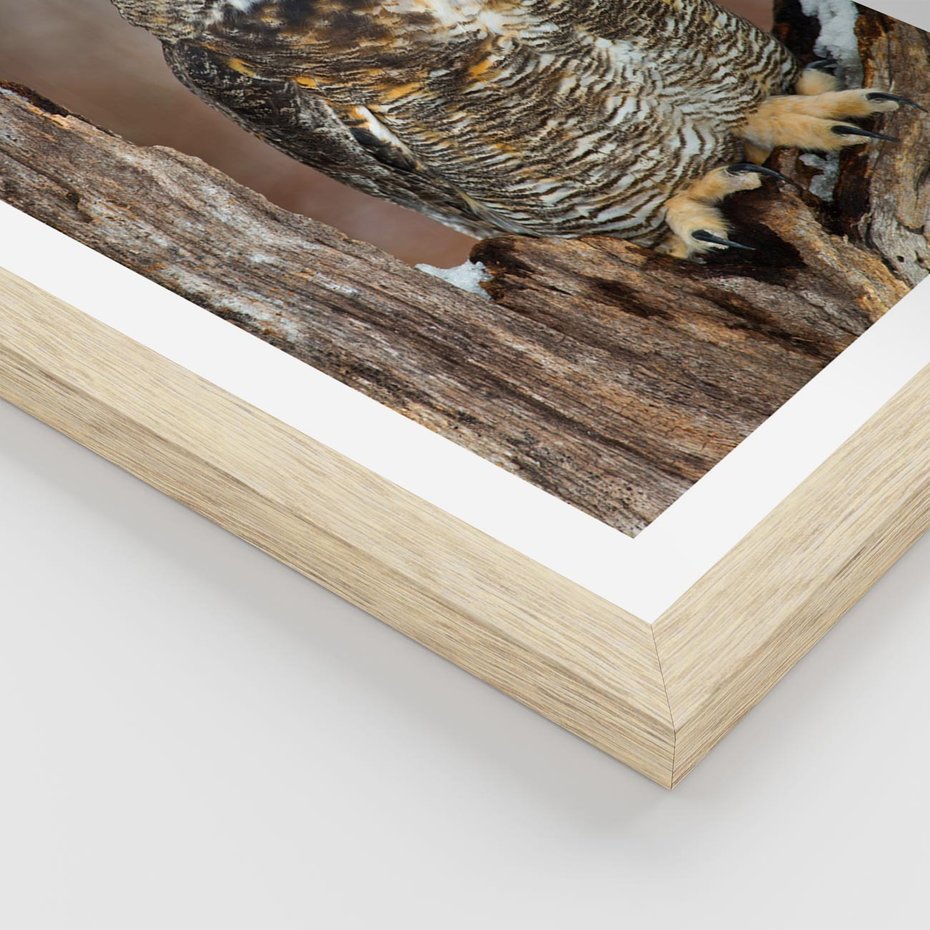 Plakat w ramie 30x40 - Tajemniczy Stróż - sowa, las - rama drewno