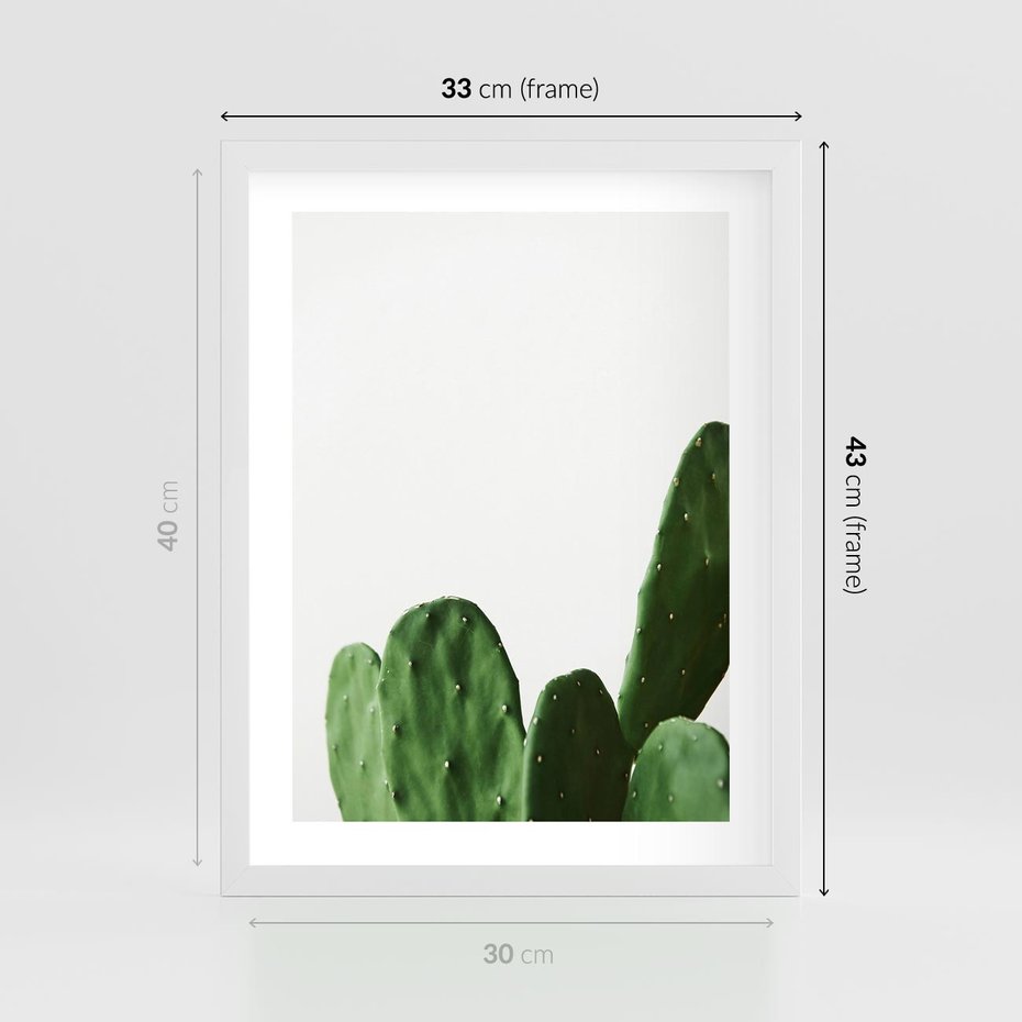 Plakat w ramie 30x40 - Minimalizm Natury - kaktus, zbliżenie - rama biała