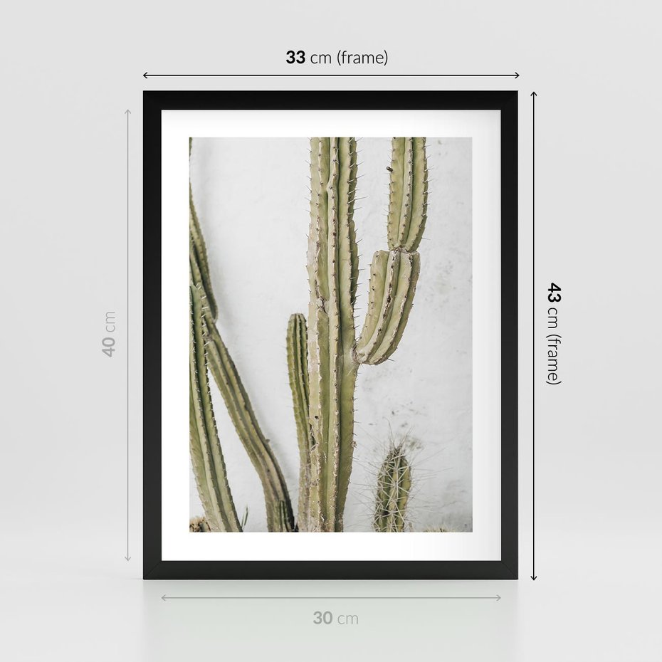 Plakat w ramie 30x40 - Kaktus w Stylu Boho - kaktus, roślina tropikalna - rama czarna