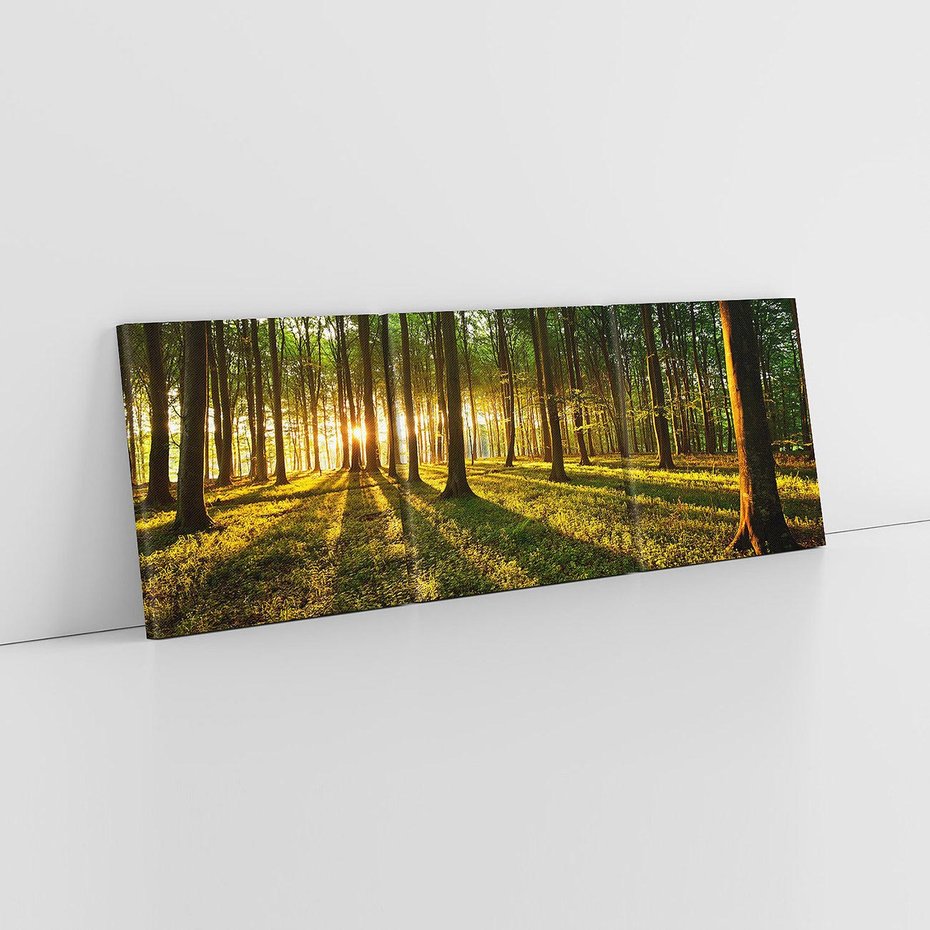 Obraz na płótnie 120x40 - Mistyfikujący urok leśnej głuszy - las, drzewa