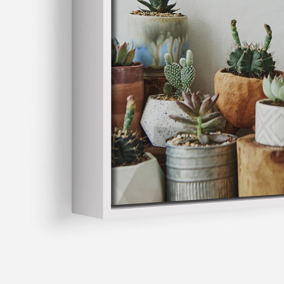 Obraz w ramie 70x100 - Naturalna Harmonia - kaktusy, liście - rama biała