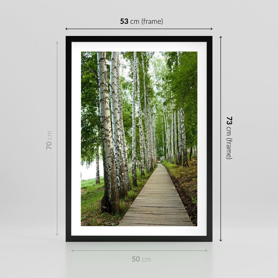 Plakat w ramie 50x70 - Spacer ścieżką przez brzozowy las - las, ścieżka - rama czarna