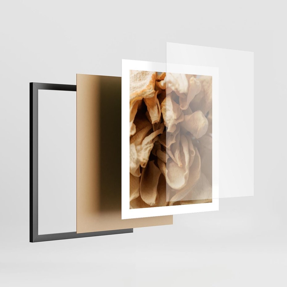 Plakat w ramie 40x50 - Zjawiskowe zasuszone kwiaty - zasuszone, kwiaty - rama czarna