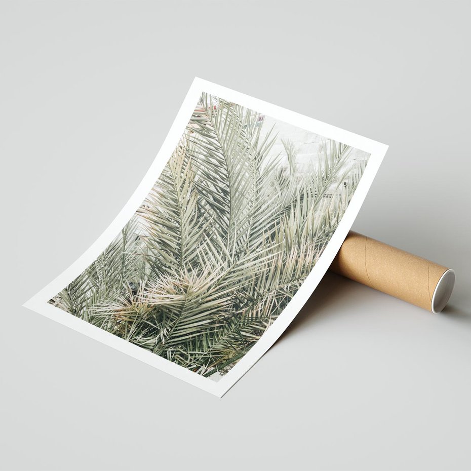 Plakat bez ramy 50x70 - Egzotyczny Świat Palm - palmy, liście palmy