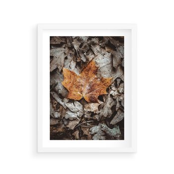 Plakat w ramie 30x40 - Jesienne Czarowanie - suchy liść, żółty - rama biała