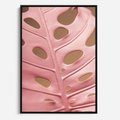 Obraz w ramie 70x100 - Różowa monstera w pełnym rozkwicie - różowa, monstera - rama czarna