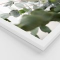 Zestaw obrazy w ramie 30x40 galeria - Eukaliptus, zielone, liście, minimalizm - rama biała