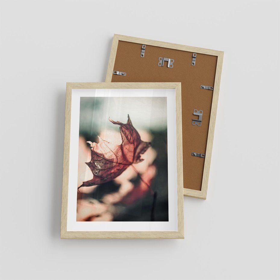 Plakat w ramie 30x40 - Liść w Jesieni - jesienny liść, czerwony - rama drewno