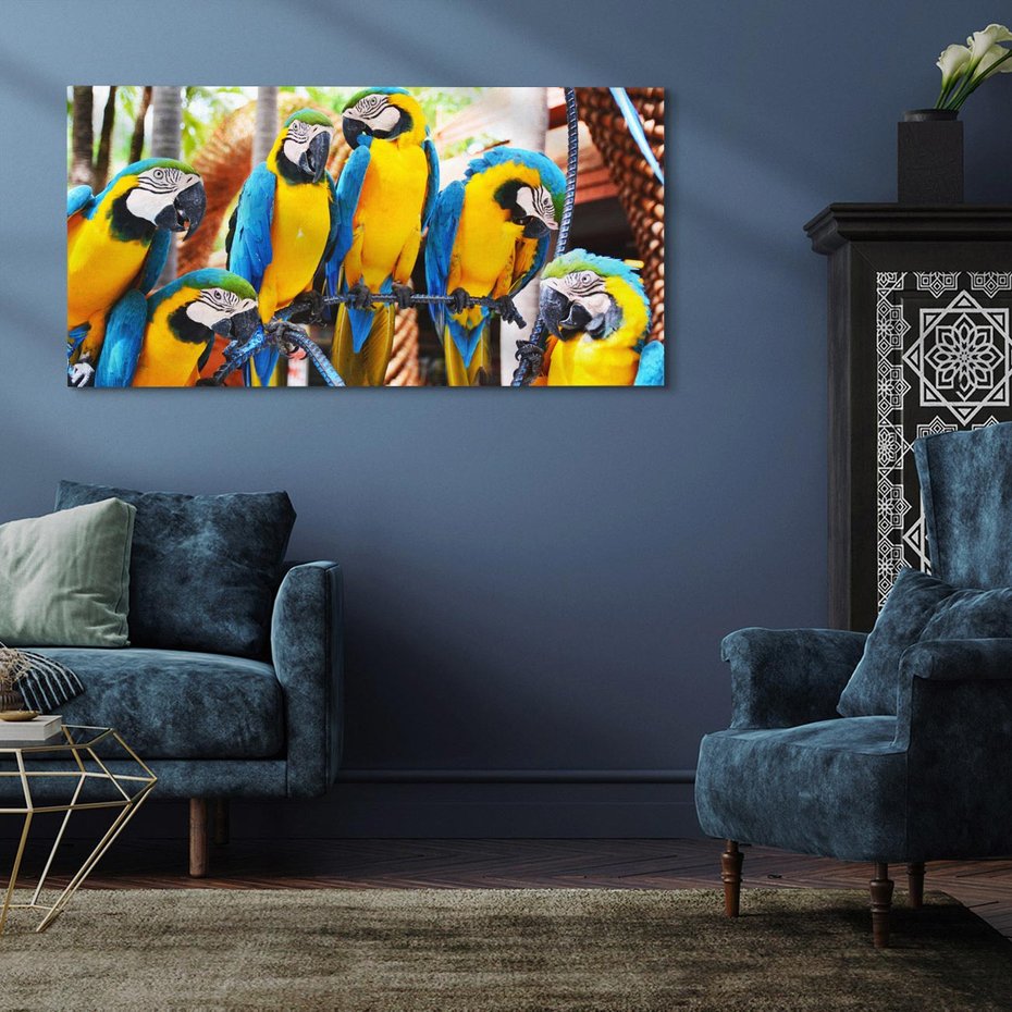 Obraz na płótnie 100x50 - Kolorowa parada papug - papuga, papugi