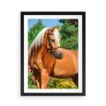 Plakat w ramie 50x70 - Elegancki wierzchowiec - koń, portret - rama czarna