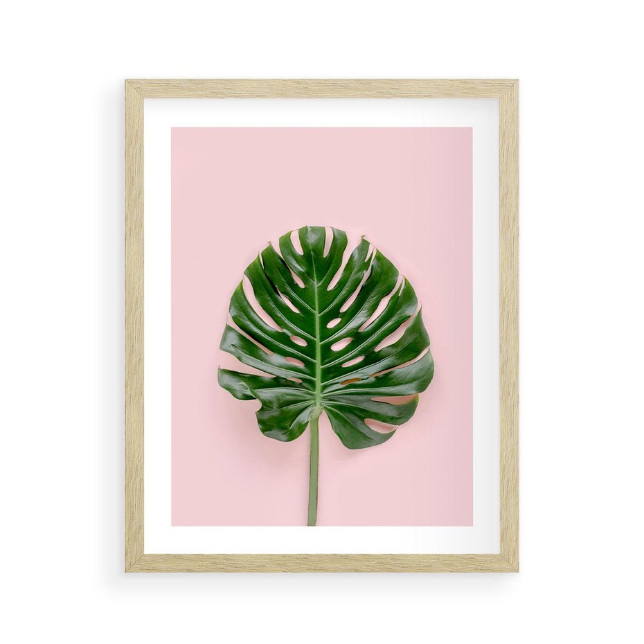 Plakat w ramie 40x50 - Egzotyczna Roślinność - liście, monstera - rama drewno