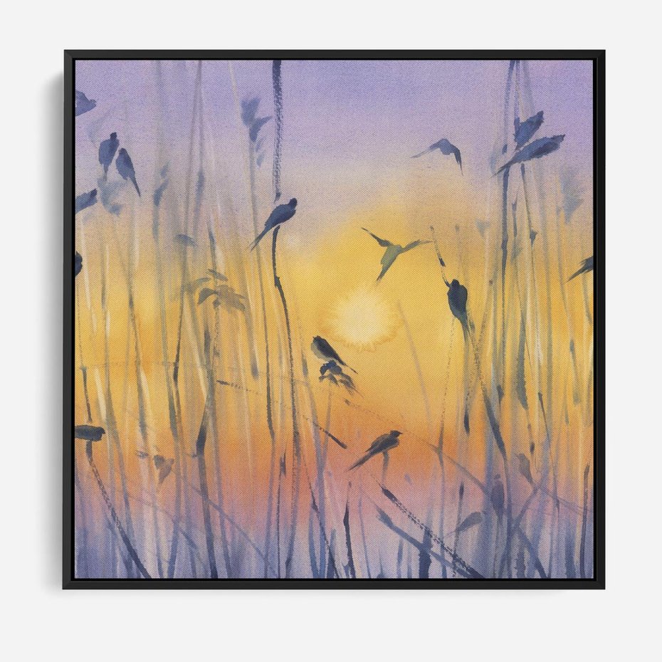 Obraz w ramie 50x50 - Mistyka Poranka nad Szuwaram - wschód słońca w szuwarach, trawy - rama czarna