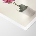 Plakat bez ramy 21x30 - Delikatność storczyka orchidei - storczyk, orchidea