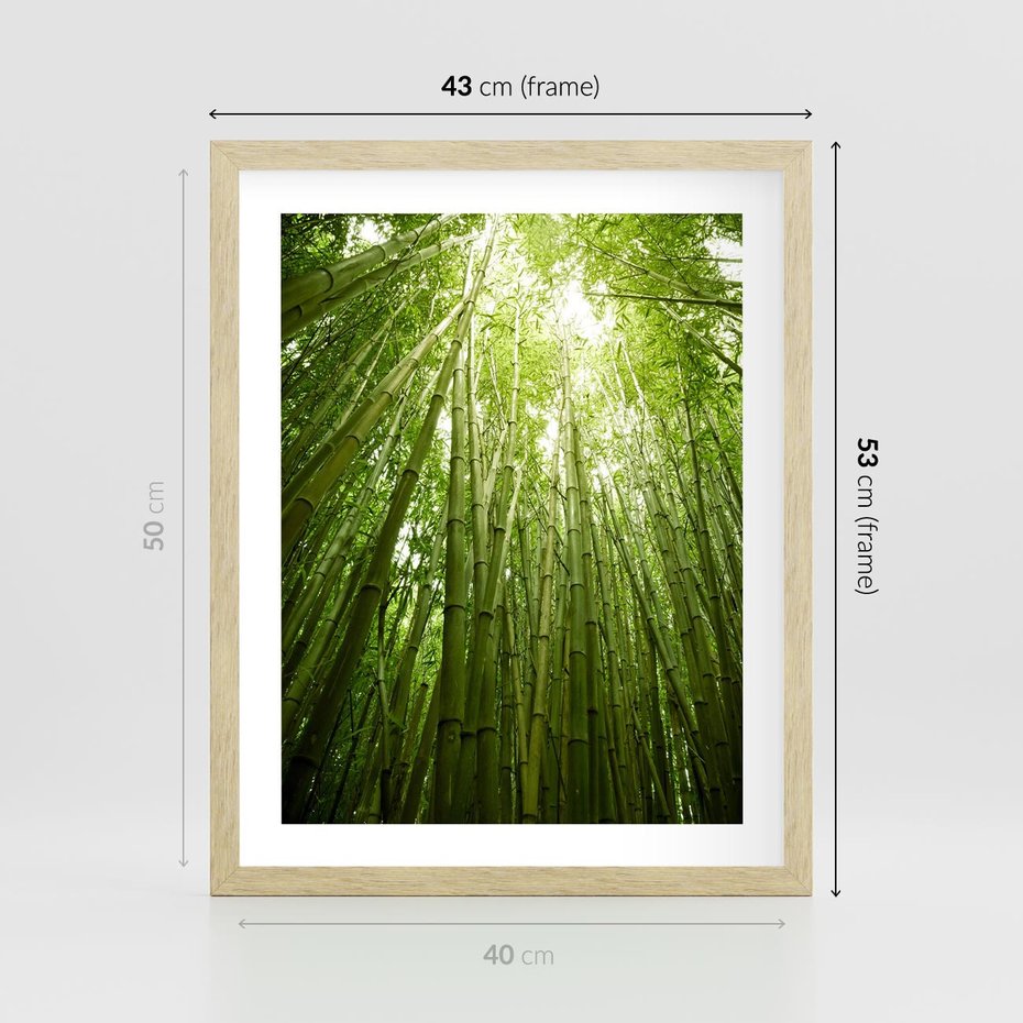 Plakat w ramie 40x50 - Siła Natury - drzewa, las - rama drewno