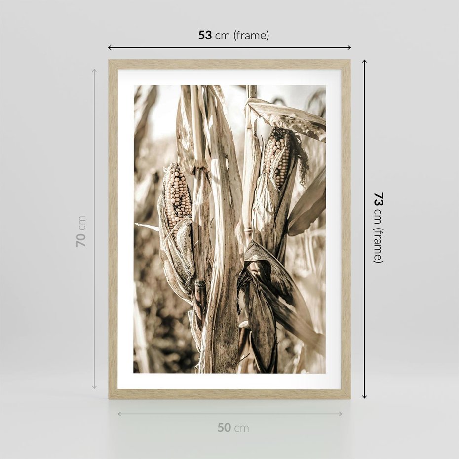 Plakat w ramie 50x70 - Retro Pole Kukurydzy - retro zdjęcie, sepia - rama drewno
