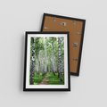 Plakat w ramie 30x40 - Magia lasu pełnego brzóz - las, brzozy - rama czarna