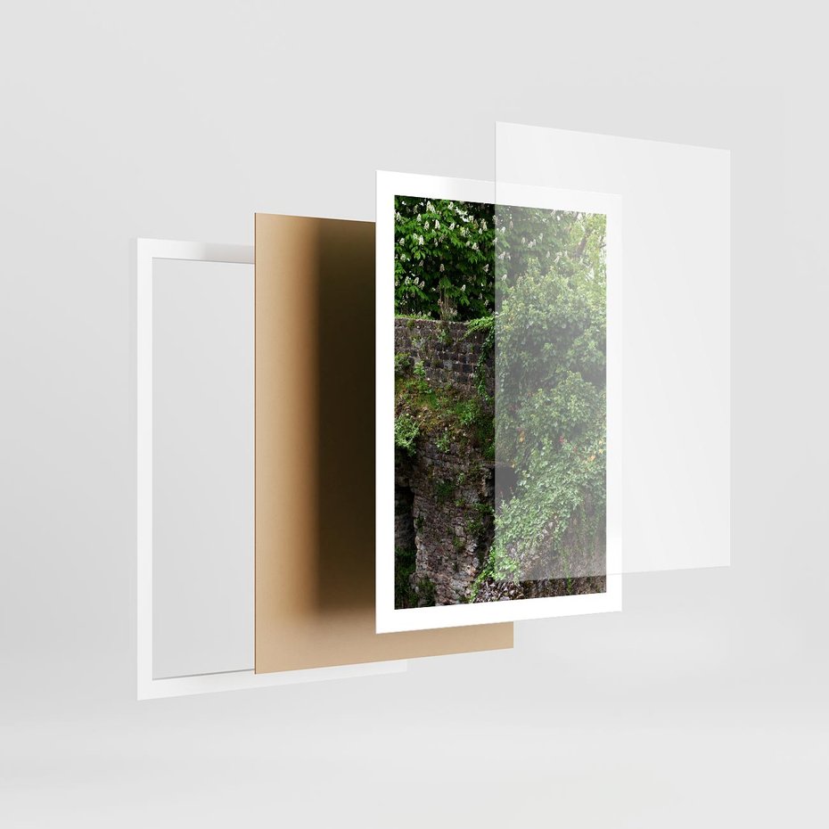 Plakat w ramie 50x70 - Żywiołowa Zieleń - mur, liście - rama biała