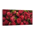 Obraz na płótnie 120x60 - Piękno róż: delikatność natury - róże, kwiaty