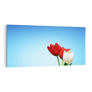 Obraz na płótnie 120x60 - Tulipanowy zachwyt - tulipany, kwiaty