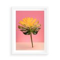 Plakat w ramie 50x70 - Majestatyczna monstera - monstera, liść - rama biała