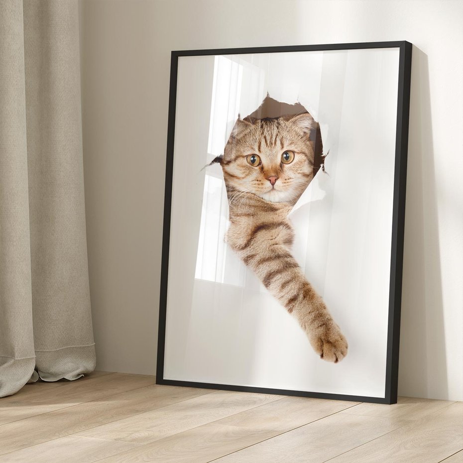 Plakat bez ramy 50x70 - Kot w Dziurze - kot, dziura