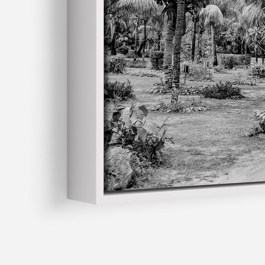 Obraz w ramie 50x70 - Mroczna Ścieżka Tropików - czarno biała fotografia, ścieżka pośród palm - rama biała