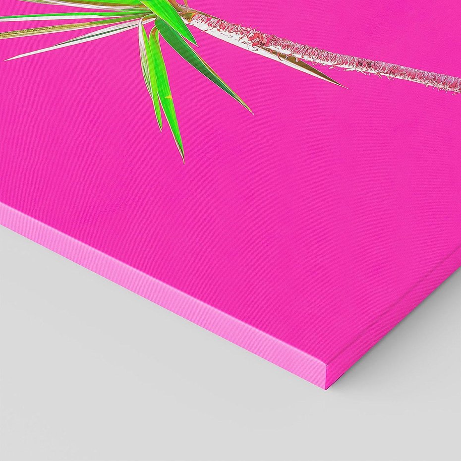 Obraz na płótnie 60x60 - Retro Stylizacja - palma, liście