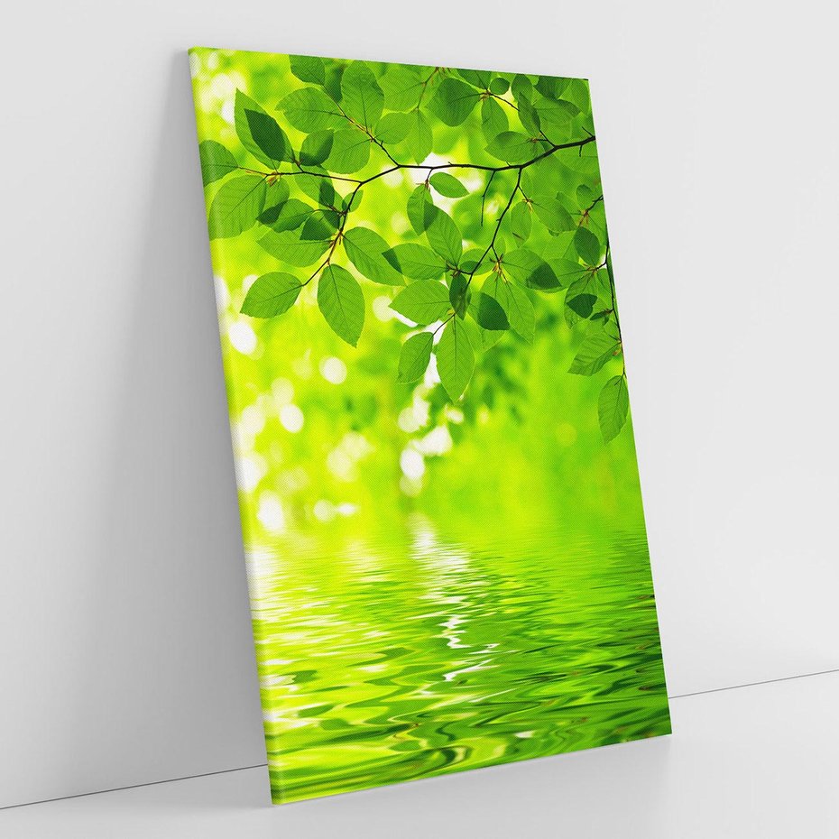 Obraz na płótnie 80x120 - Liście w Wodzie - liście, woda
